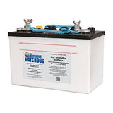 Basement Watchdog Back-Up Sump Pump Battery, Model 30hdc140s